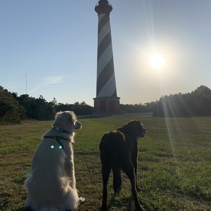 Fundraising Page: John Clark